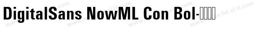 DigitalSans NowML Con Bol字体转换